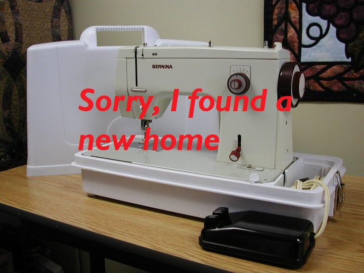 Bernina 165